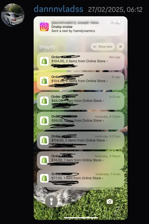 dannnvladss — Shopify order notifications flooding in